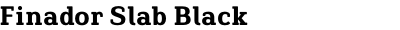 Finador Slab Black